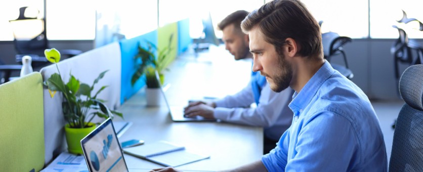 Engineers & IT Professionals