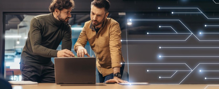 Engineers & IT Professionals