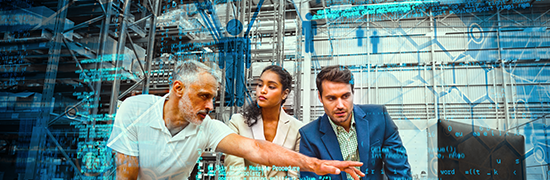 Engineers & IT Professionals